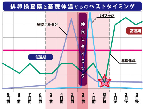 排卵日の3日前