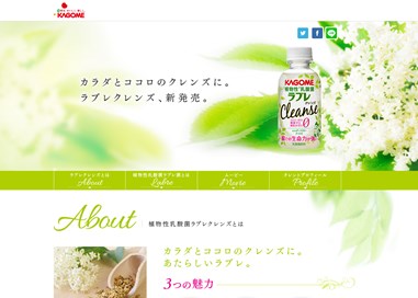 植物性乳酸菌ラブレクレンズ（カゴメ）の口コミ・評価・レビュー